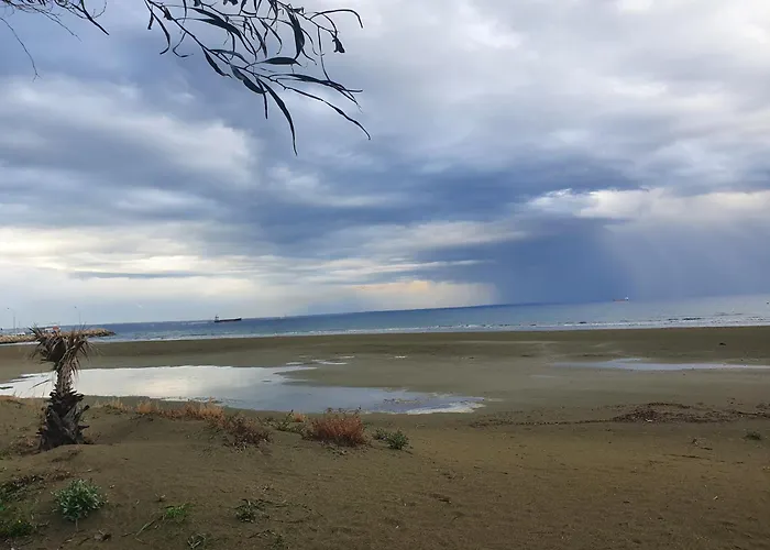 Open Views